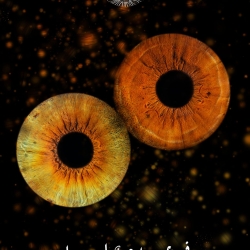 מתנה לבן זוג